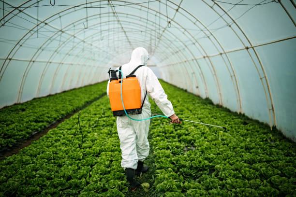 Best Mosquito Control Services  in Dardenne Prairie, MO