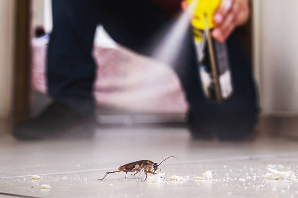 Trusted Dardenne Prairie, MO Pest Control Experts