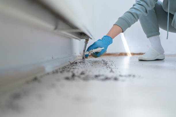 Reliable Dardenne Prairie, MO Pest Control Solutions